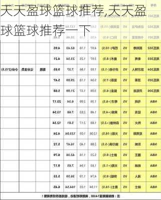 天天盈球篮球推荐,天天盈球篮球推荐一下