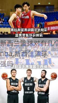 新西兰篮球对有几个nba,新西兰篮球强吗