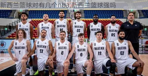 新西兰篮球对有几个nba,新西兰篮球强吗