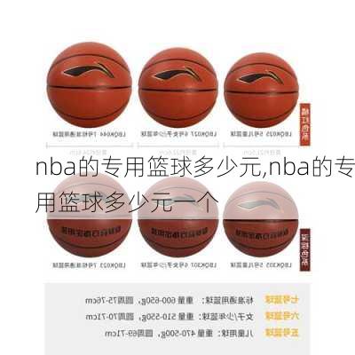 nba的专用篮球多少元,nba的专用篮球多少元一个