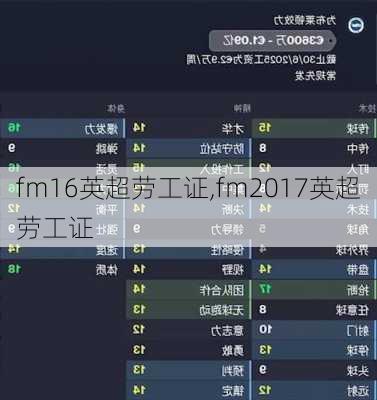 fm16英超劳工证,fm2017英超劳工证