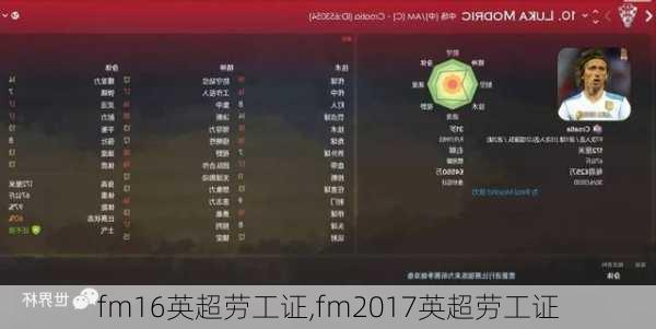 fm16英超劳工证,fm2017英超劳工证