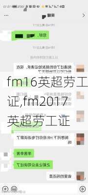 fm16英超劳工证,fm2017英超劳工证