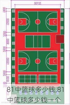 81中篮球多少钱,81中篮球多少钱一个