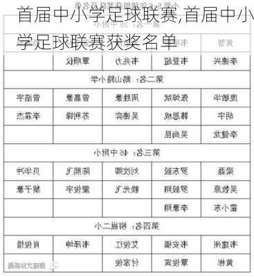 首届中小学足球联赛,首届中小学足球联赛获奖名单