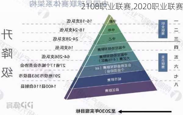 2108职业联赛,2020职业联赛