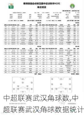 中超联赛武汉角球数,中超联赛武汉角球数据统计