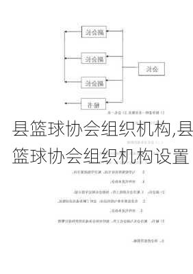 县篮球协会组织机构,县篮球协会组织机构设置