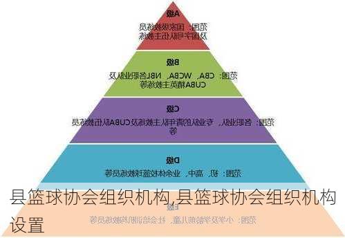 县篮球协会组织机构,县篮球协会组织机构设置