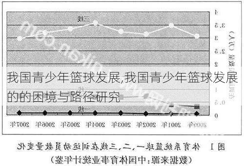 我国青少年篮球发展,我国青少年篮球发展的的困境与路径研究