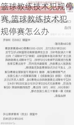 篮球教练技术犯规停赛,篮球教练技术犯规停赛怎么办