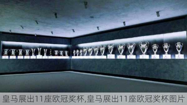 皇马展出11座欧冠奖杯,皇马展出11座欧冠奖杯图片