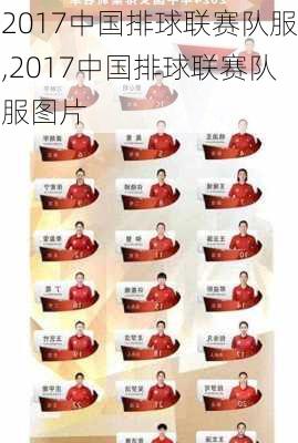 2017中国排球联赛队服,2017中国排球联赛队服图片