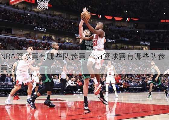 NBA篮球赛有哪些队参赛,nba篮球赛有哪些队参赛的