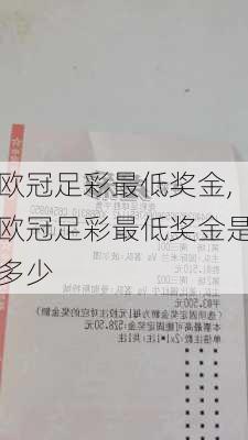 欧冠足彩最低奖金,欧冠足彩最低奖金是多少