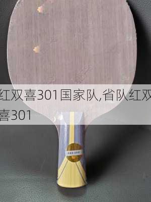 红双喜301国家队,省队红双喜301