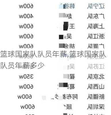 篮球国家队队员年薪,篮球国家队队员年薪多少
