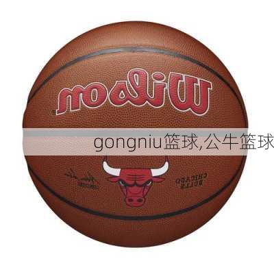 gongniu篮球,公牛篮球