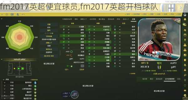 fm2017英超便宜球员,fm2017英超开档球队