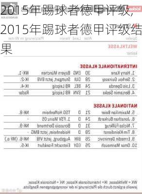 2015年踢球者德甲评级,2015年踢球者德甲评级结果