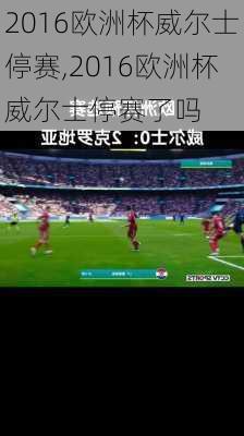 2016欧洲杯威尔士停赛,2016欧洲杯威尔士停赛了吗