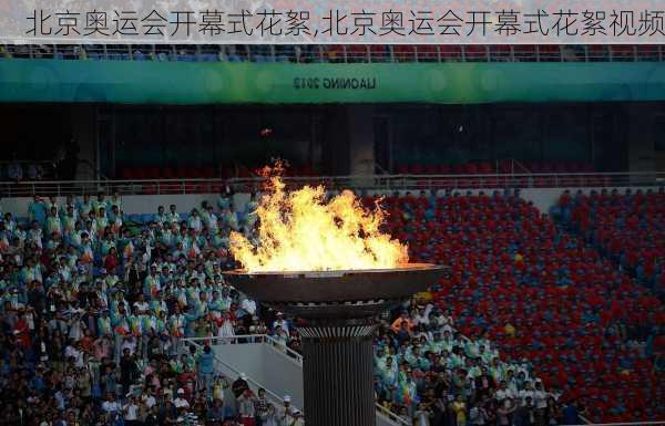 北京奥运会开幕式花絮,北京奥运会开幕式花絮视频