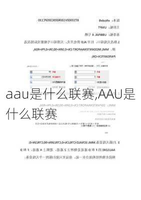 aau是什么联赛,AAU是什么联赛