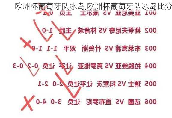 欧洲杯葡萄牙队冰岛,欧洲杯葡萄牙队冰岛比分