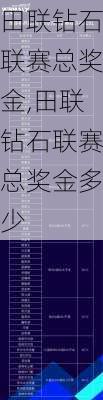 田联钻石联赛总奖金,田联钻石联赛总奖金多少