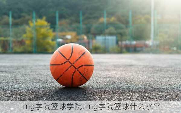 img学院篮球学院,img学院篮球什么水平