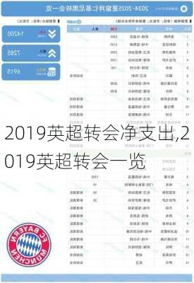 2019英超转会净支出,2019英超转会一览