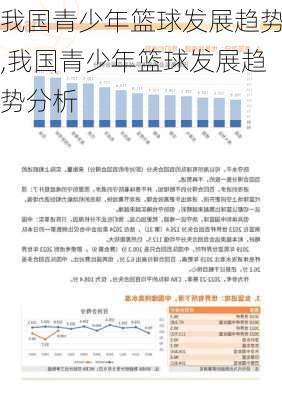 我国青少年篮球发展趋势,我国青少年篮球发展趋势分析