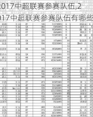 2017中超联赛参赛队伍,2017中超联赛参赛队伍有哪些