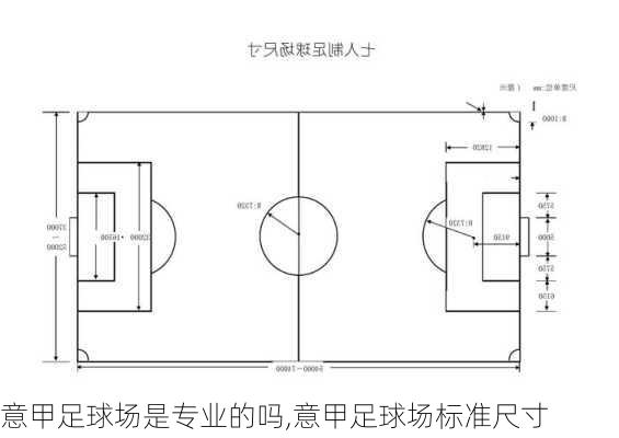 意甲足球场是专业的吗,意甲足球场标准尺寸