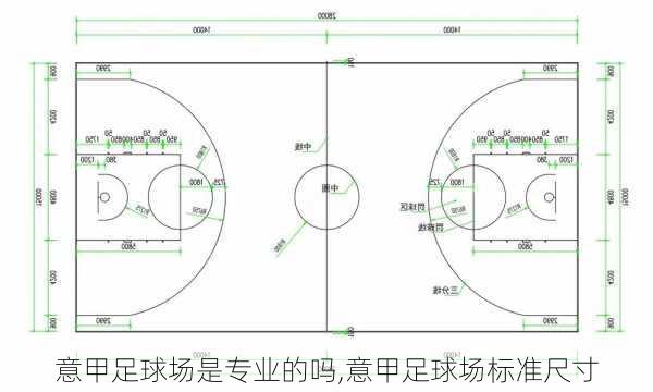 意甲足球场是专业的吗,意甲足球场标准尺寸