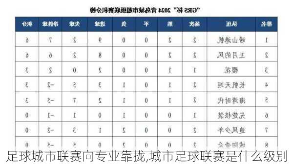 足球城市联赛向专业靠拢,城市足球联赛是什么级别