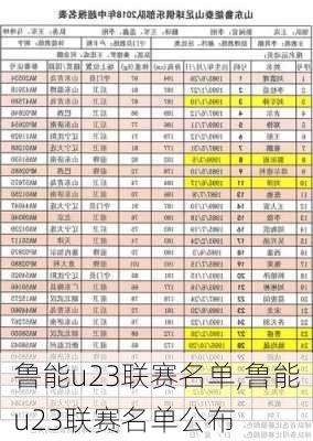 鲁能u23联赛名单,鲁能u23联赛名单公布