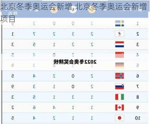 北京冬季奥运会新增,北京冬季奥运会新增项目