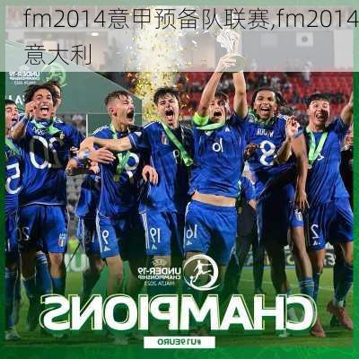 fm2014意甲预备队联赛,fm2014意大利