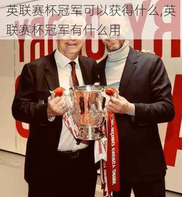 英联赛杯冠军可以获得什么,英联赛杯冠军有什么用