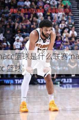 nacc篮球是什么联赛,nacc 篮球