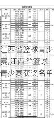 江西省篮球青少赛,江西省篮球青少赛获奖名单