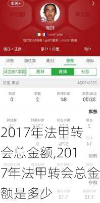 2017年法甲转会总金额,2017年法甲转会总金额是多少