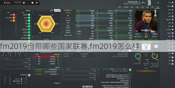 fm2019自带哪些国家联赛,fm2019怎么样