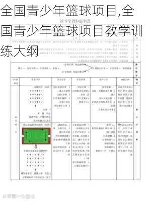 全国青少年篮球项目,全国青少年篮球项目教学训练大纲