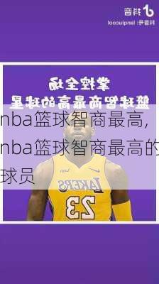 nba篮球智商最高,nba篮球智商最高的球员