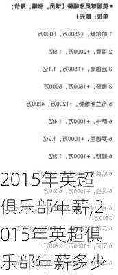 2015年英超俱乐部年薪,2015年英超俱乐部年薪多少