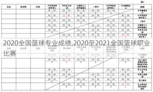 2020全国篮球专业成绩,2020至2021全国篮球职业比赛