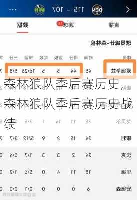 森林狼队季后赛历史,森林狼队季后赛历史战绩