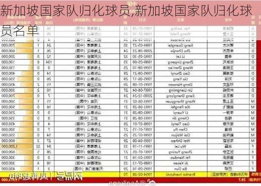 新加坡国家队归化球员,新加坡国家队归化球员名单